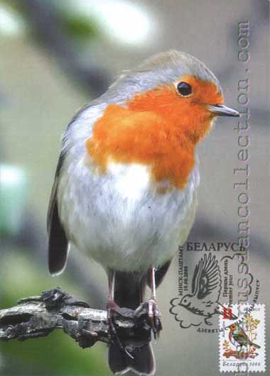 Robin (Erithacus rubecula)